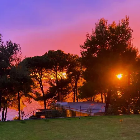 Appartement Zenit Center *